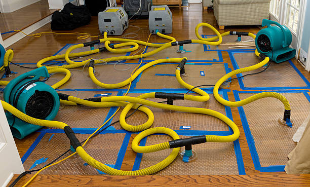 Professional Water Damage Restoration technician working in Elkridge, MD
